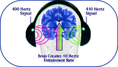 brain entrainment hertz