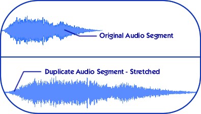 Temporal Entrainment Brain Evolution System 