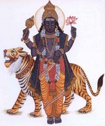 rahu graha