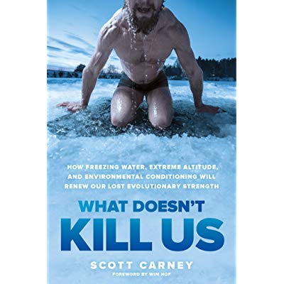 what doesnt kill us book