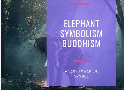 Elephant Symbolism Buddhism featured