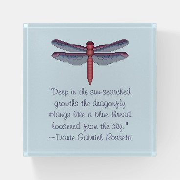 Dragonfly Totem & Symbolism – The Spirit of Transformation – 