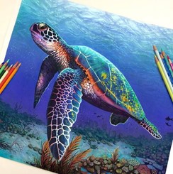 Turtle Totem & Symbolism – The Spirit of Persistence – 