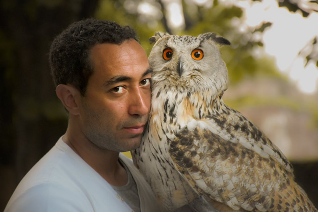 Spiritual Significance of Owls