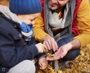 Spiritual Symbolism of the Acorn