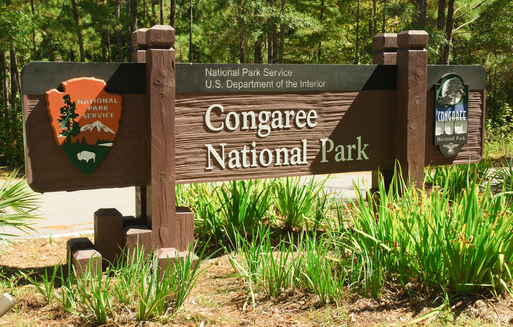 Congaree National Park, South Carolina