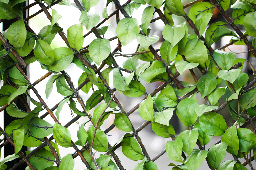 Expandable Trellis