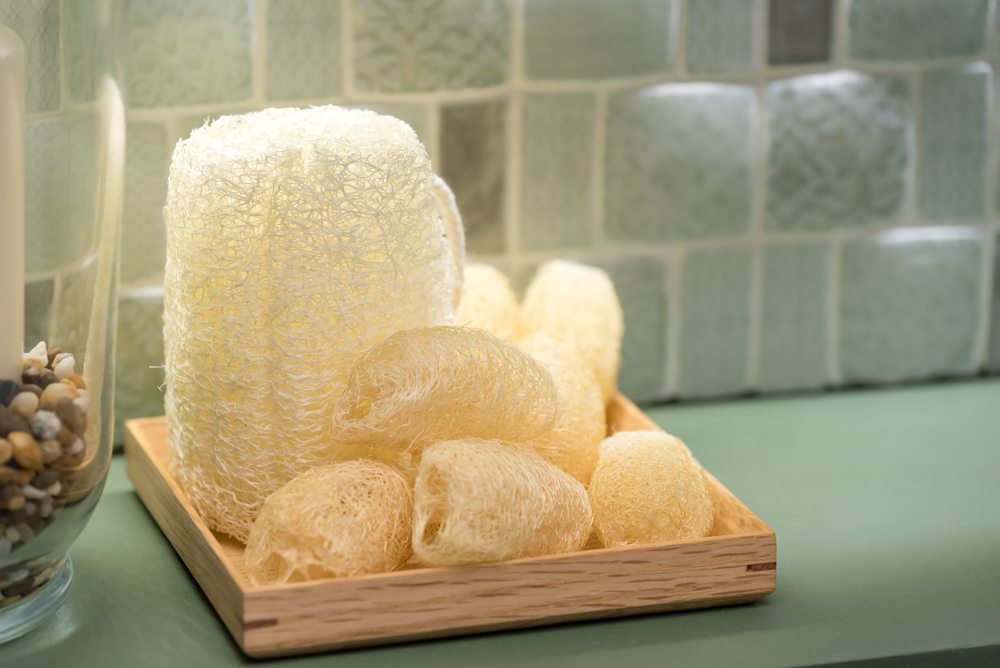 Loofah