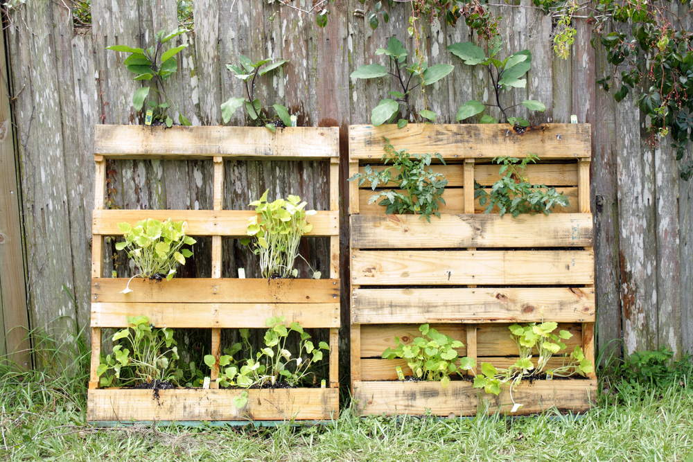 Pallet Garden