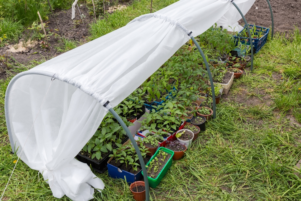 Portable Greenhouse