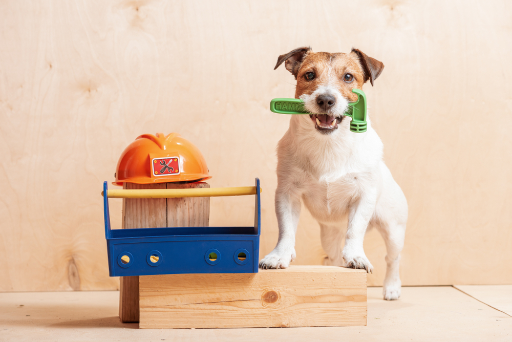 DIY Pet Toy Box 