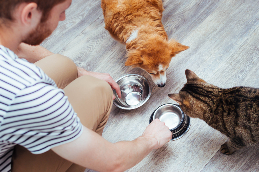 Feeding Bowl