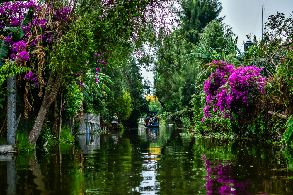  Floating Gardens of Xochimilco