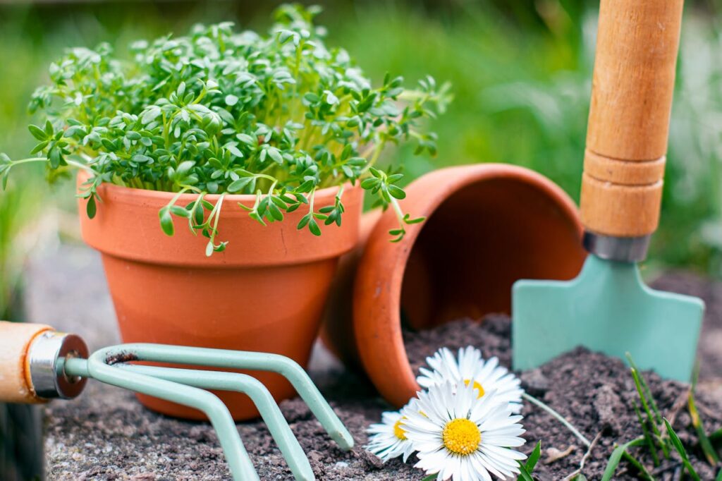 Garden Fork