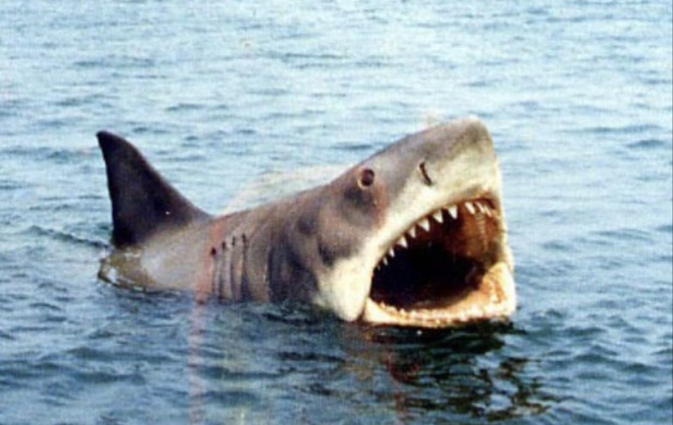 Jaws (1975)