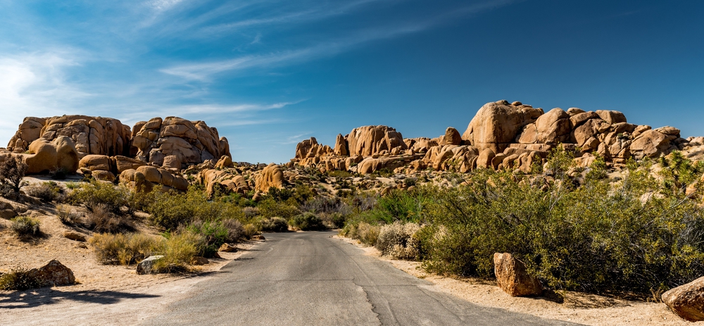 Joshua Tree National Park