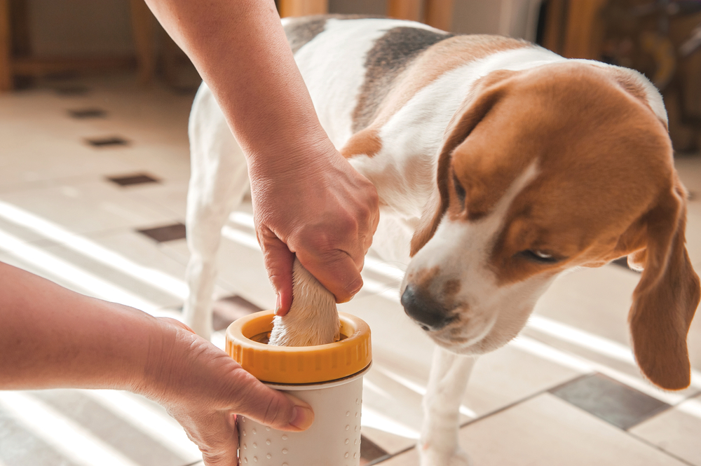 Paw Cleaner