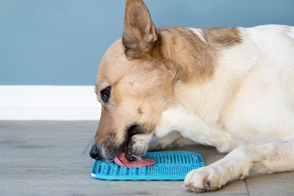 Pet Food Mat 