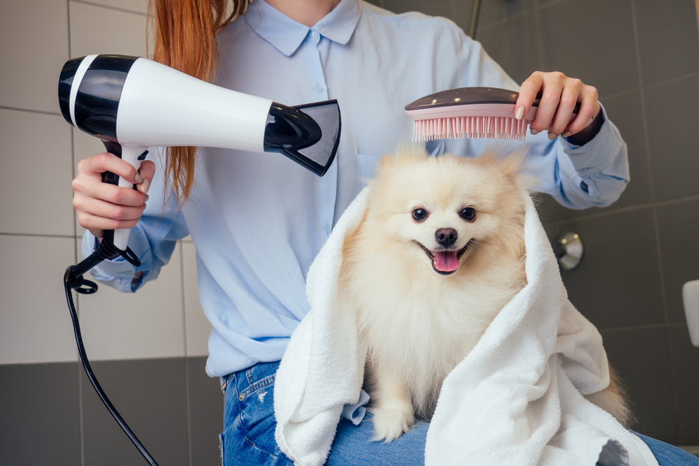 Pet-Grooming Brush