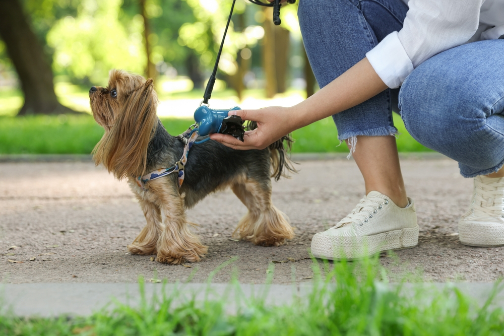 Skipping Microchipping