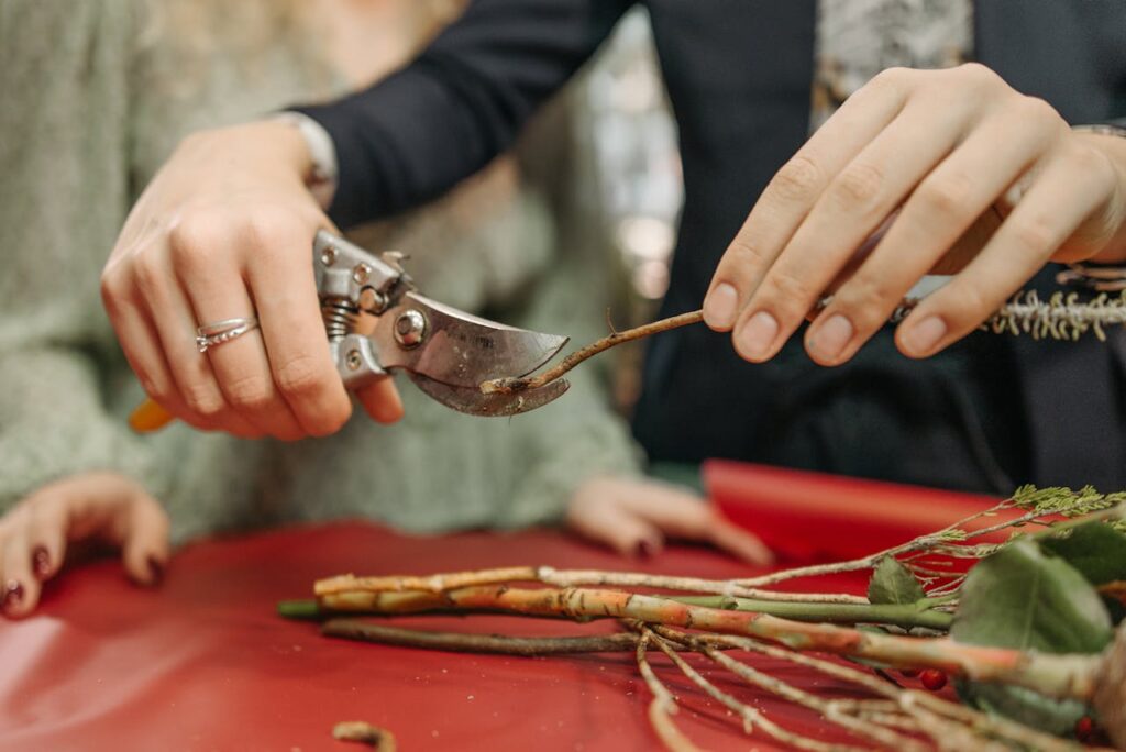 Pruning Shears 