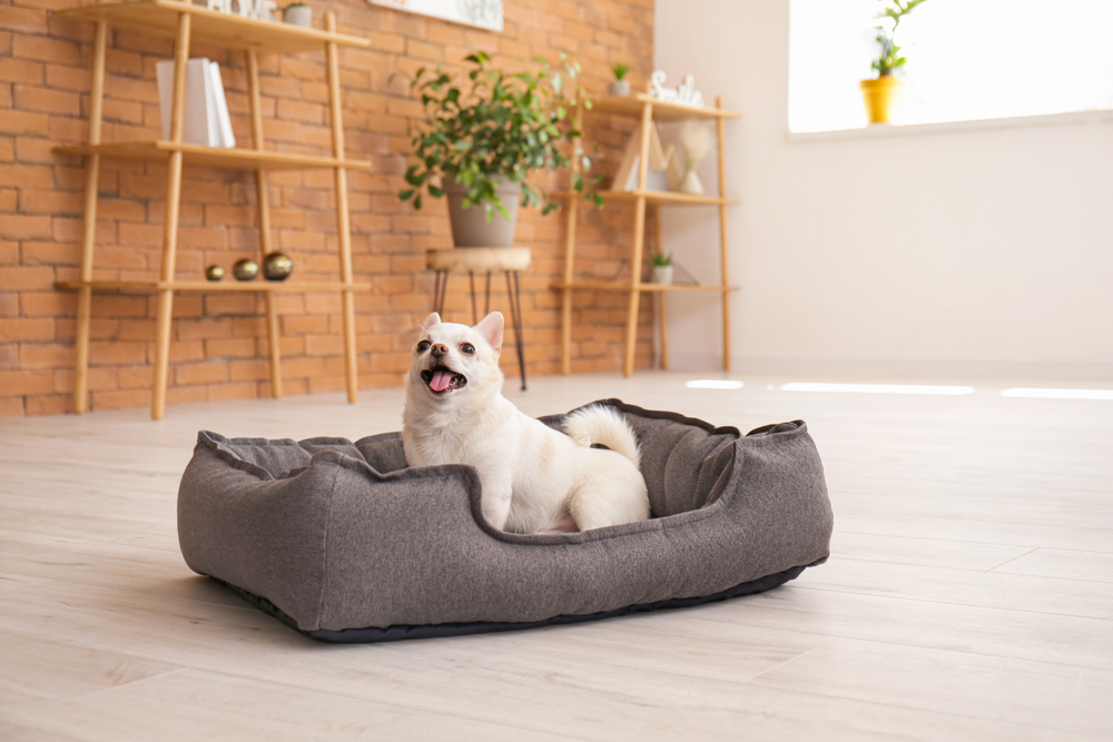 Smart Pet Beds