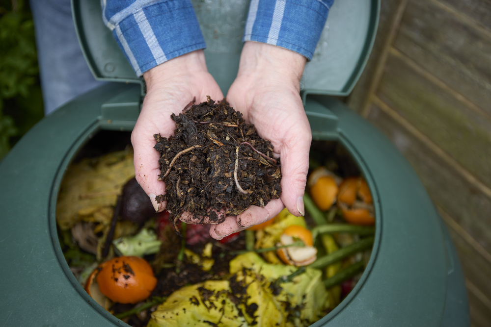 Start a Compost Bin