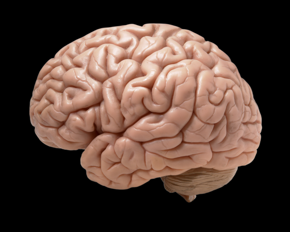 The Brain Uses 20% of the Body’s Oxygen