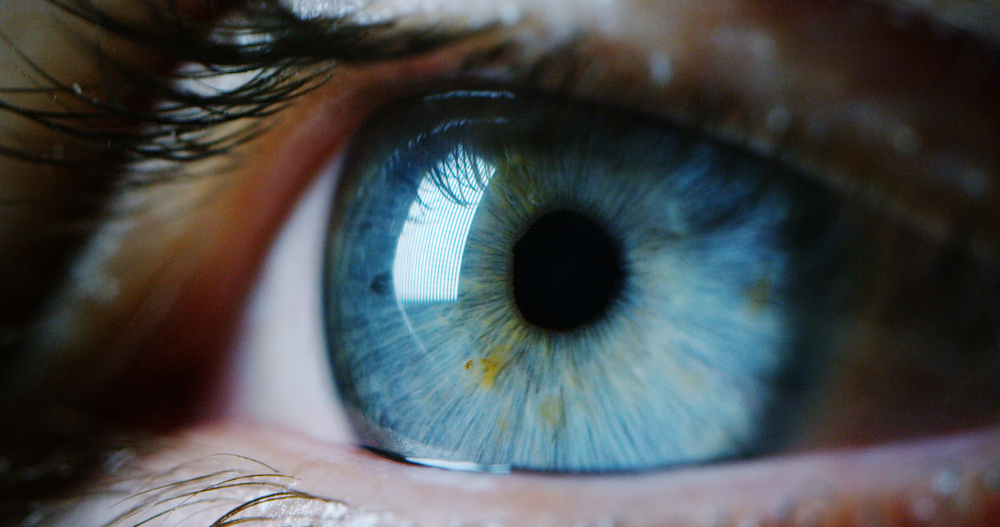 The Human Eye Can Detect More Shades of Green Than Any Other Color