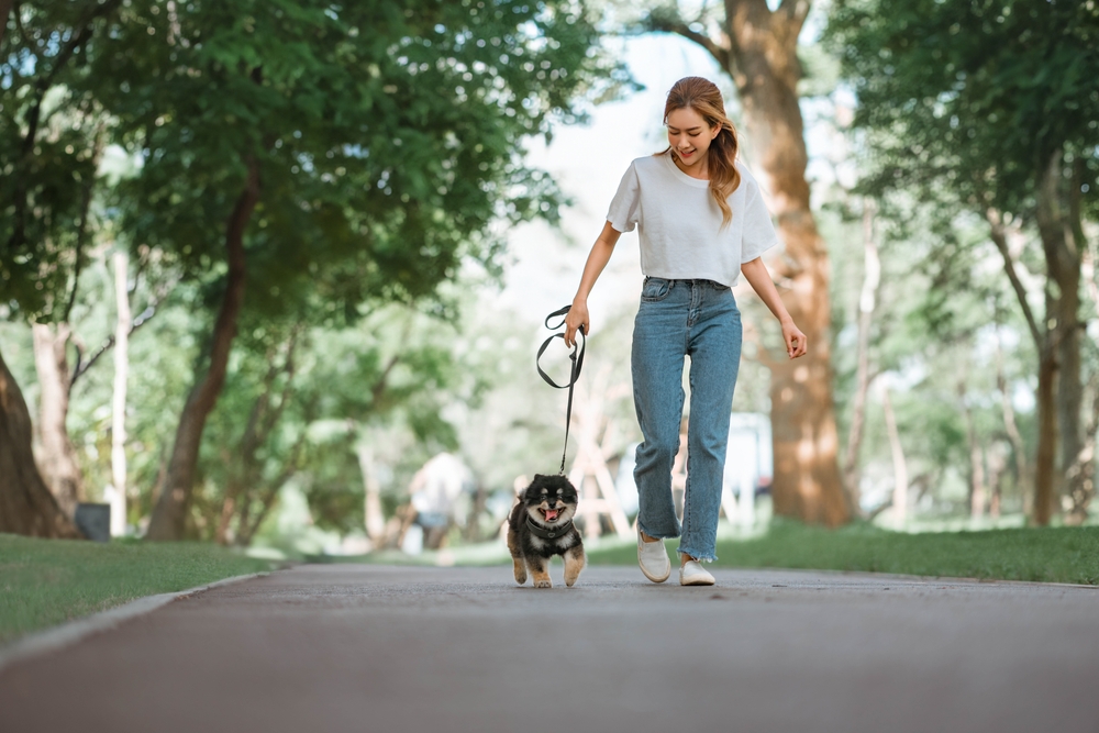 Walking Your Dog Without Poop Bags in France