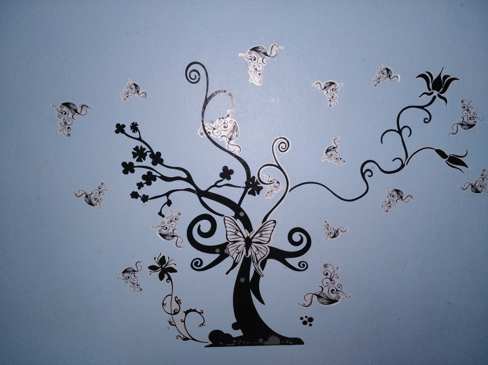 Wall Decals 