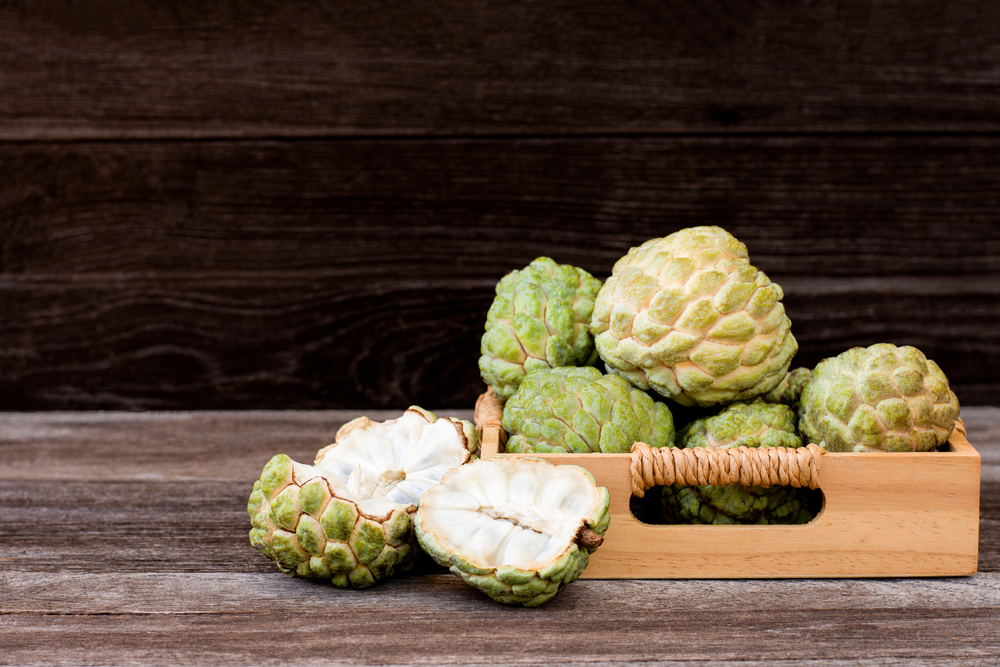 Cherimoya