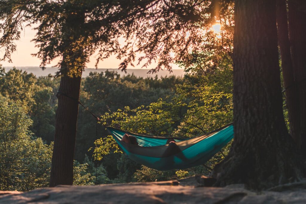 ENO SingleNest Hammock