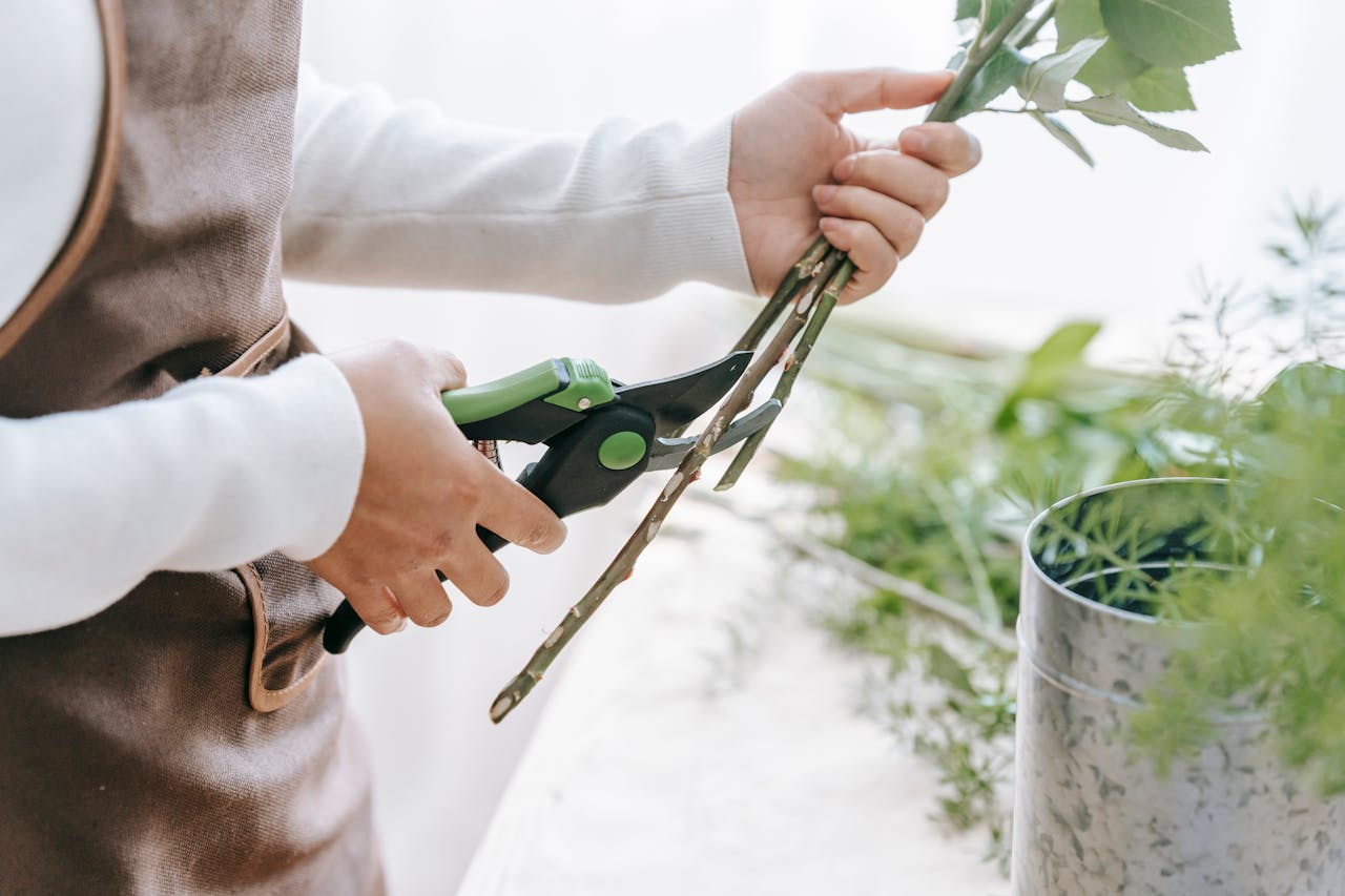 Hand Pruners