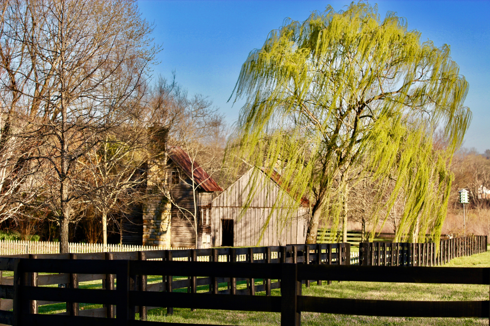 Leiper's Fork, Tennessee