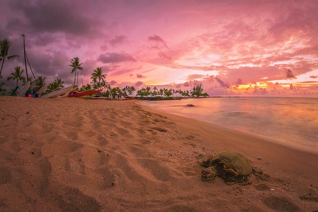 Manini'owali Beach (Kua Bay), Hawaii, USA 