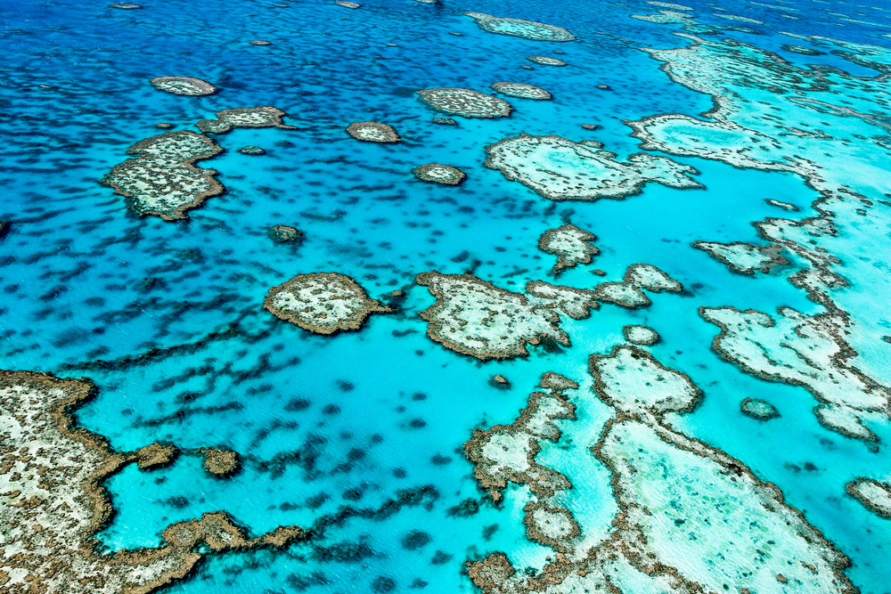 The Great Barrier Reef is visible from space