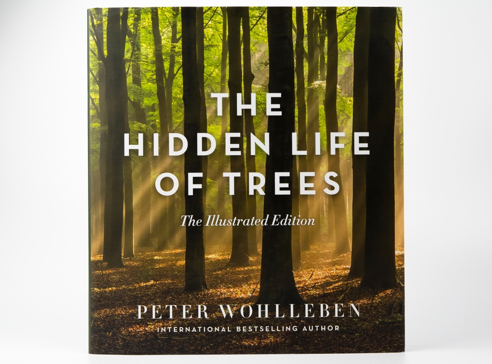 "The Hidden Life of Trees" by Peter Wohlleben