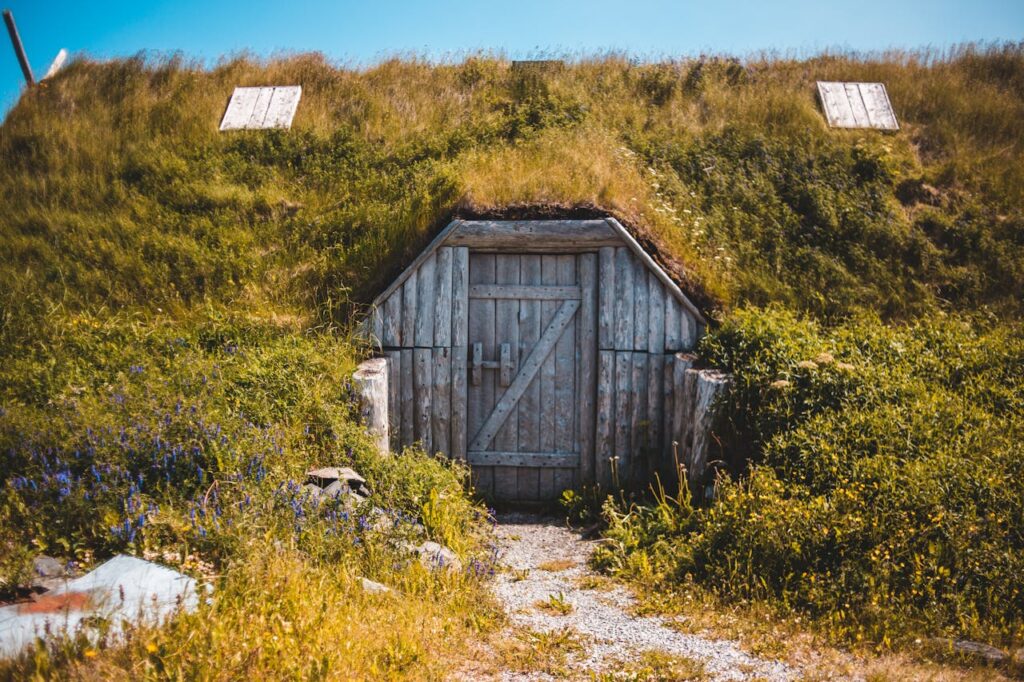 The Viking Settlement at L'Anse aux Meadows (Canada)