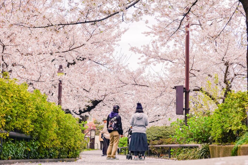 Yoyogi Park - Tokyo, Japan 