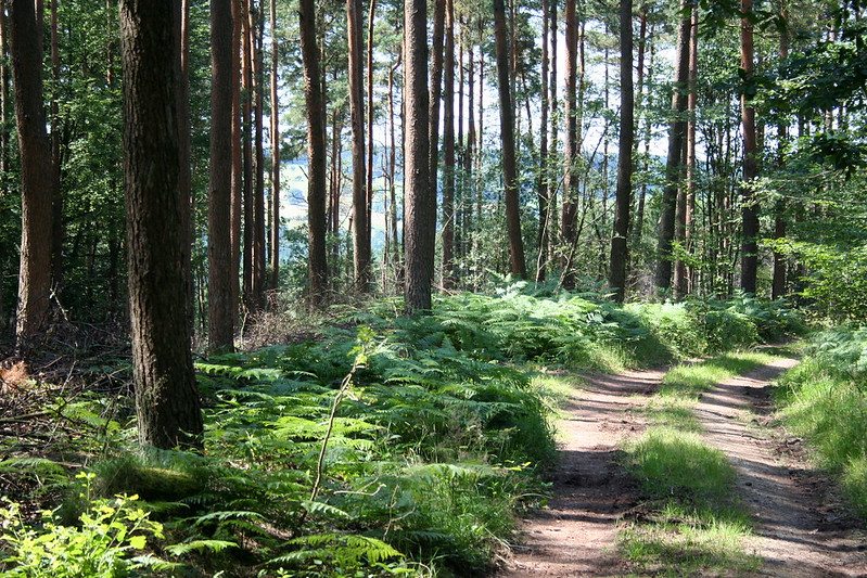 Ardennes, Belgium