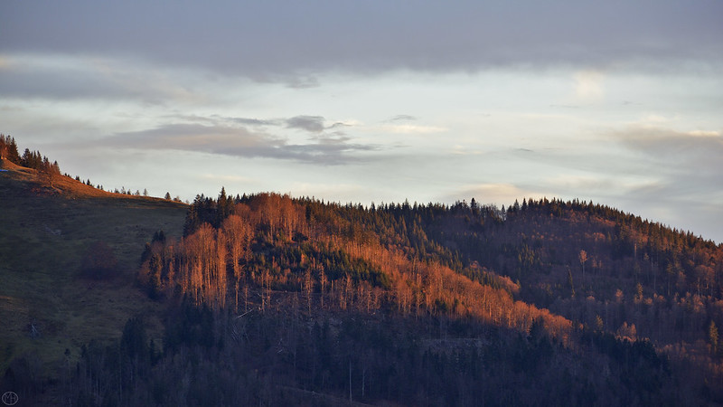 Black Forest, Germany