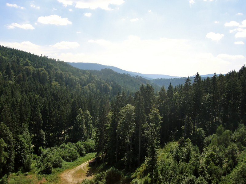 Black Forest, Germany