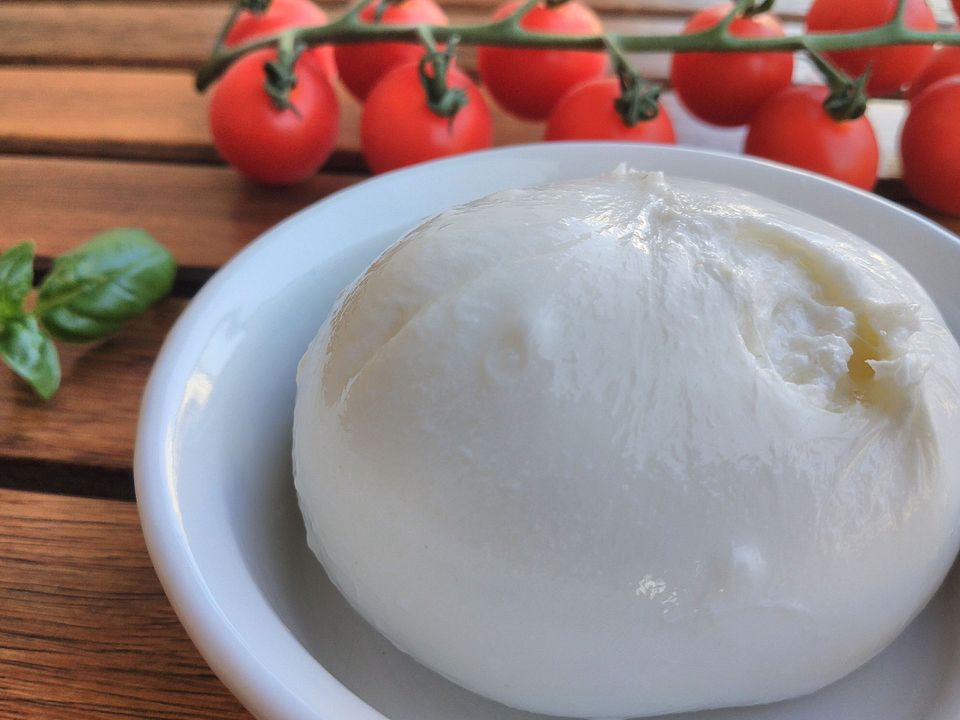 Burrata