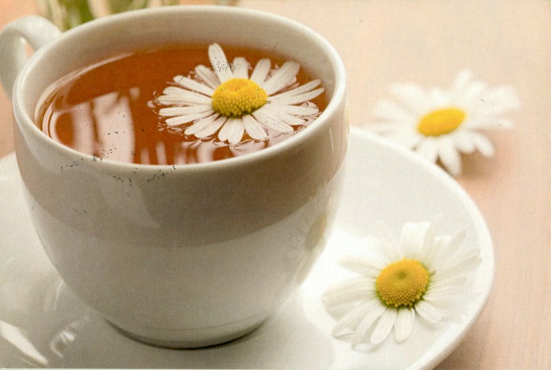 Chamomile Tea (Europe)