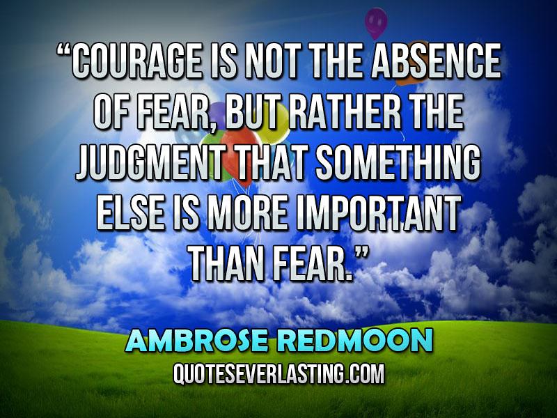 "Courage is not the absence of fear, but rather the judgment that something else is more important than fear." – Ambrose Redmoon