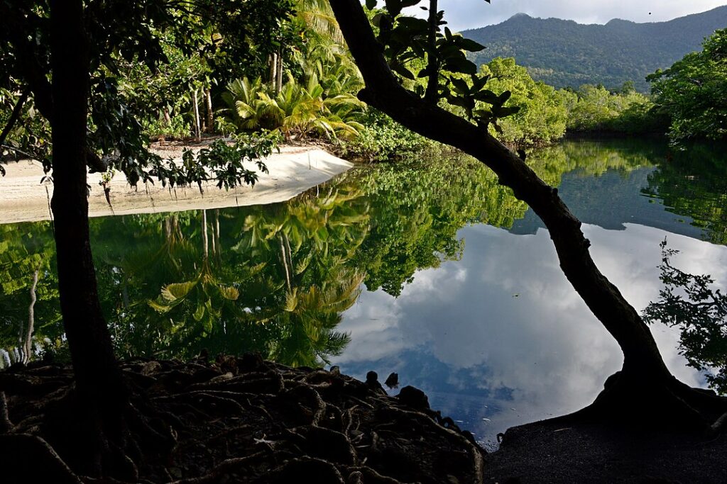 Daintree National Park, Queensland