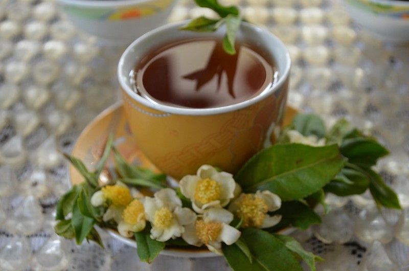 Darjeeling Tea (India)