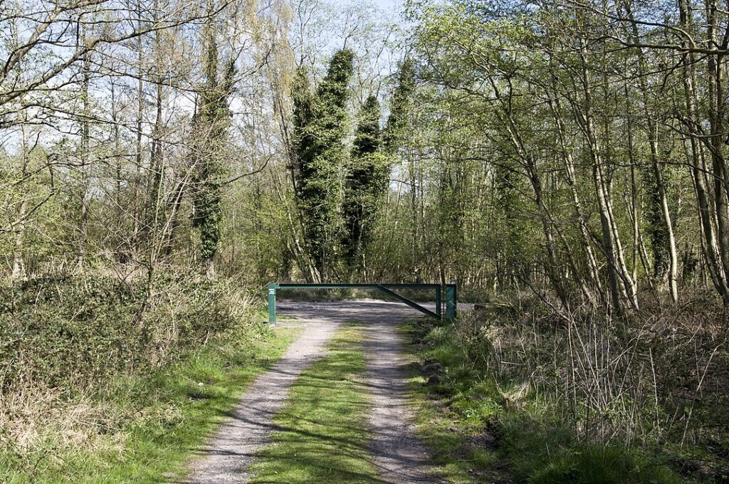 Forest of Dean, UK