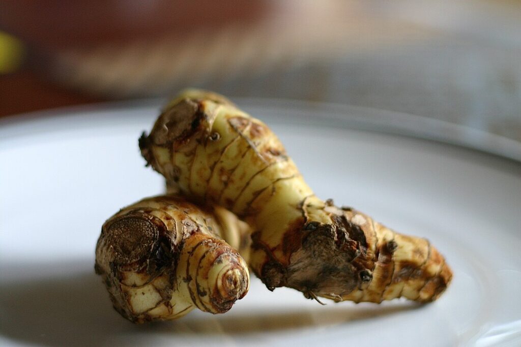 Galangal